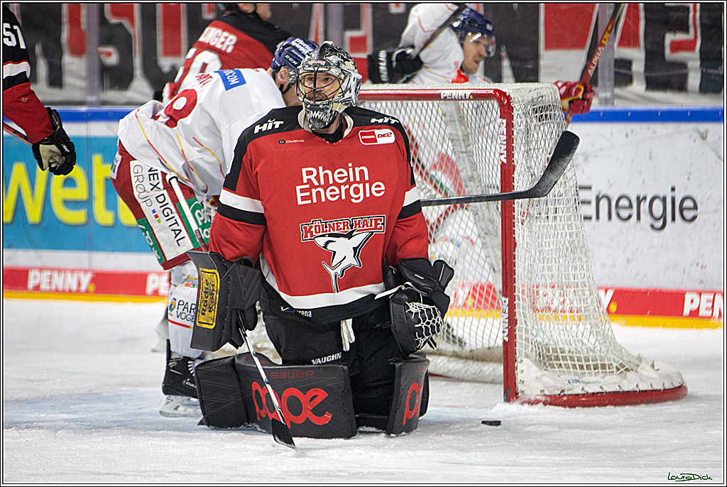PENNY DEL; Koelner Haie- Duesseldorfer EG; Koeln, 16.01.2022
